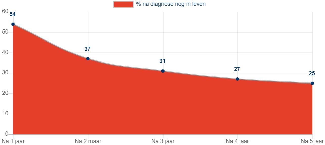 Percentage hersentumor patienten na diagnose nog levend